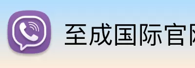 至成国际官网 logo